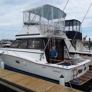 Meet your Posher, Billy